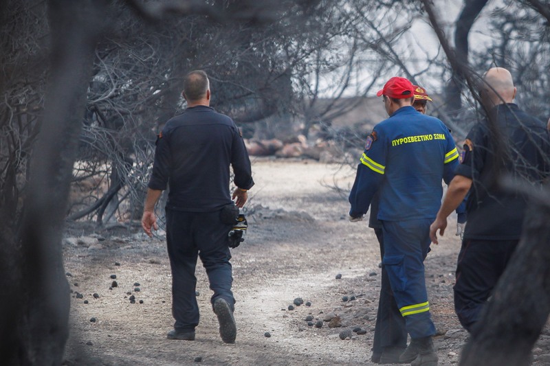 Πως κατάφερε να σωθεί το Κέντρο Υγείας της Ραφήνας  - Media