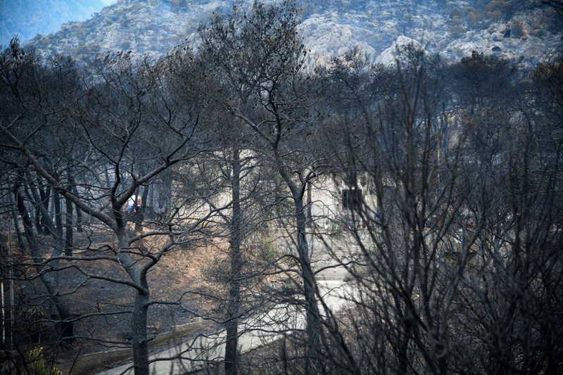 Κρανίου τόπος τα Γεράνεια Όρη μετά την πυρκαγιά – Αποκαλυπτικό βίντεο από drone - Media