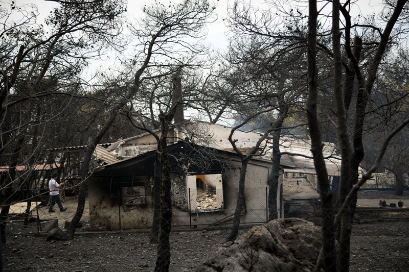 Συγκλονιστική εικόνα στο Μάτι: Ο σκύλος φύλαγε την απανθρακωμένη σορό του αφεντικού του - Media