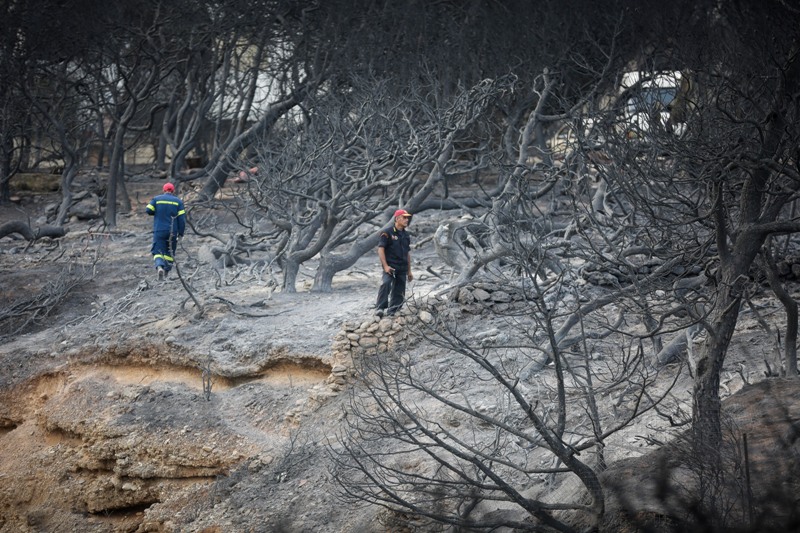 Βρέθηκαν ακόμα δύο σοροί στο Μάτι - Media