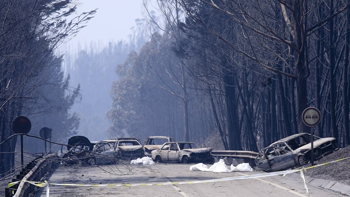 Τι έμαθε η Πορτογαλία από τις πυρκαγιές - Media