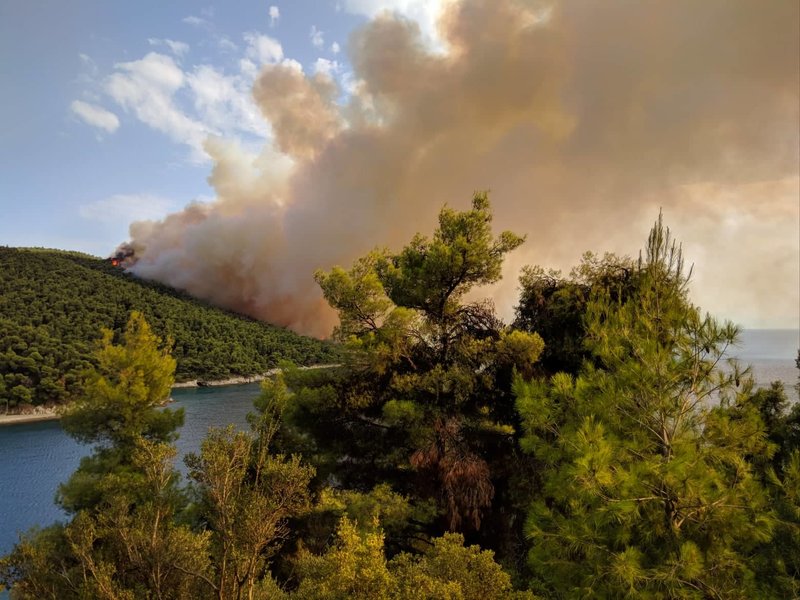 Τέσσερα αεροσκάφη και ένα ελικόπτερο στη μάχη με τις φλόγες στη Σκόπελο - Καίγονται πεύκα  - Media
