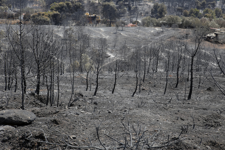 Εγκρίθηκε η μελέτη για την οριοθέτηση του ρέματος της Ραφήνας – Ξεκινούν τα έργα   - Media
