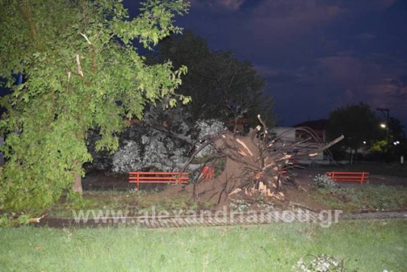 Ανεμοστρόβιλος σάρωσε τα Τρίκαλα Ημαθίας - Μεγάλες καταστροφές (Photos-Video) - Media