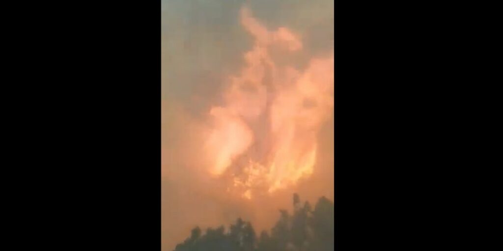 Βίντεο - ντοκουμέντο από εθελοντή δασοπυροσβέστη - Με απίστευτες ταχύτητες κατέκαψε η φωτιά το Μάτι - Media