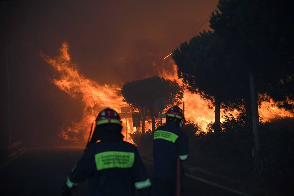 Νέα δεδομένα: Από καύση ξερών κλαδιών η φονικότερη πυρκαγιά της Αττικής;  - Media