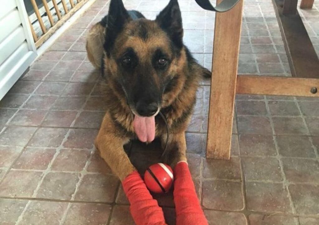 Σπάνια πορτρέτα της Όντρεϊ Χέπμπορν εκτίθενται στο Λονδίνο (Photos) - Media