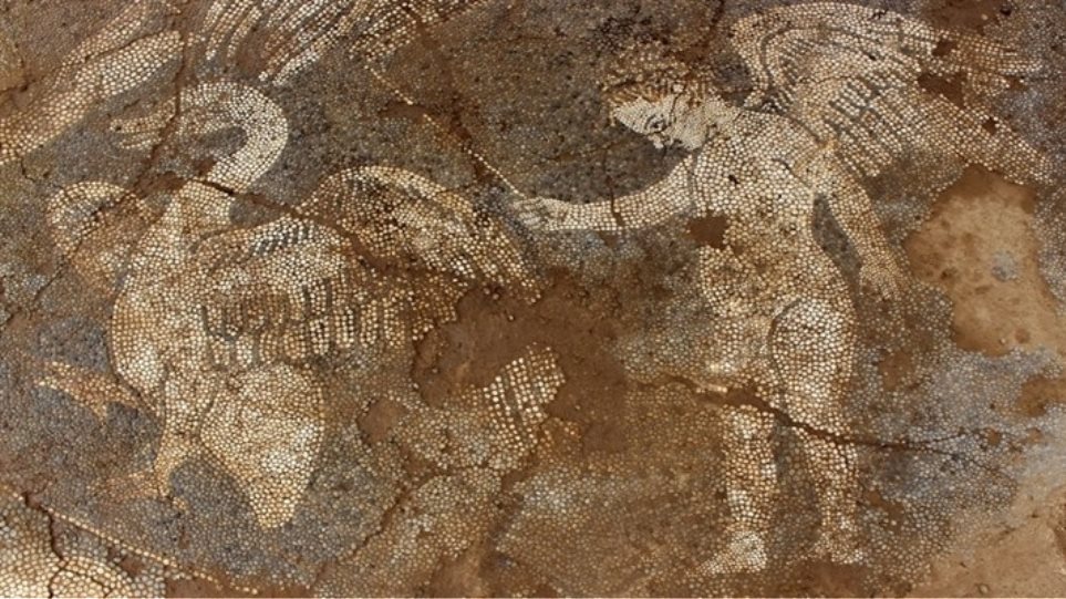 Διαμαρτυρία μεταναστών στην Ε.Ο. Αθηνών-Λαμίας για τις συνθήκες κράτησης - Άνοιξε ο δρόμος - Media