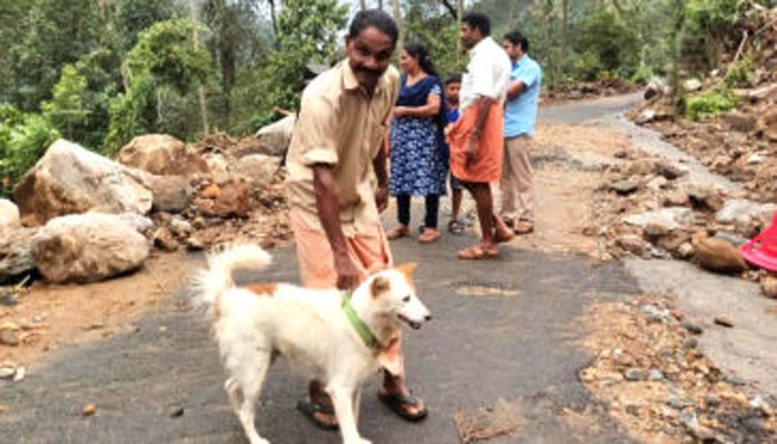 Ινδία: Σκύλος έσωσε οικογένεια από κατολίσθηση - Media