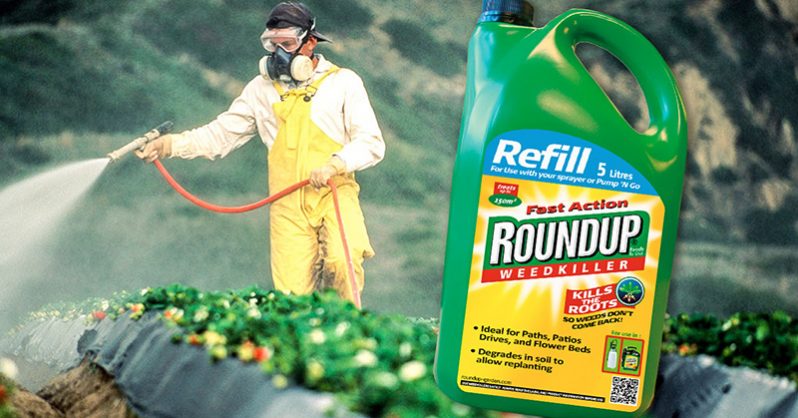 Monsanto: Ένοχη για το καρκινογόνο Roundup – Θα πληρώσει 209 εκατ. Σε αποζημιώσεις - Media
