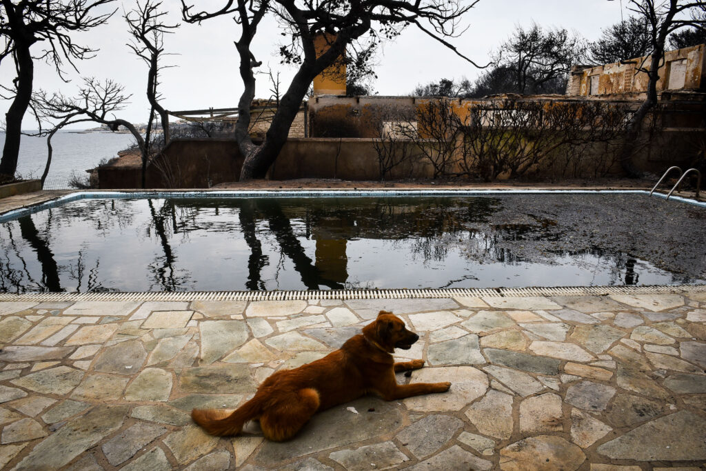 Επιφυλακτικές οι περιβαλλοντικές οργανώσεις στην τροπολογία για τα αυθαίρετα  - Media