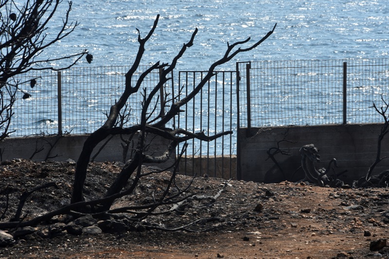 Πυρκαγιά στο Μάτι: «Άργησαν οι 26» λέει η πεθερά του ιδιοκτήτη του μοιραίου οικοπέδου (Video) - Media