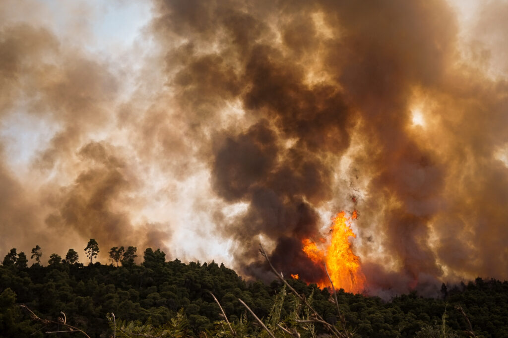 Δύο πυρκαγιές στην Ηλεία: Εκκενώθηκε χωριό - Καίγεται δάσος που «γλίτωσε» το 2007 - Media