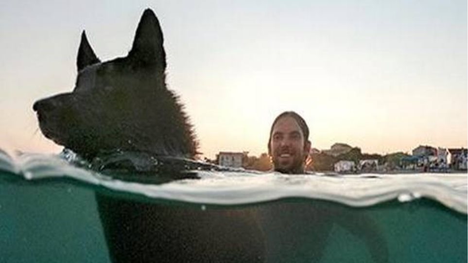 Κροατία: Διαγωνισμός κολύμβησης για σκύλους σε beach bar - Media