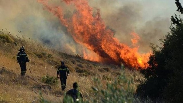 Ξέσπασε πυρκαγιά στη Σίνδο Θεσσαλονίκης  - Media