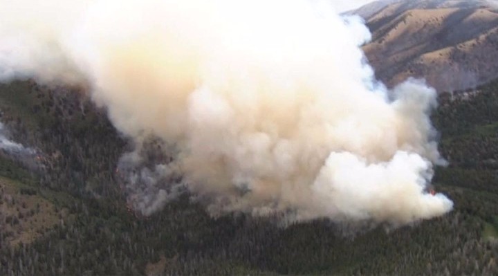 Φωτιά σε δύσβατη περιοχή στη Ζάκυνθο - Καίγεται δάσος - Media