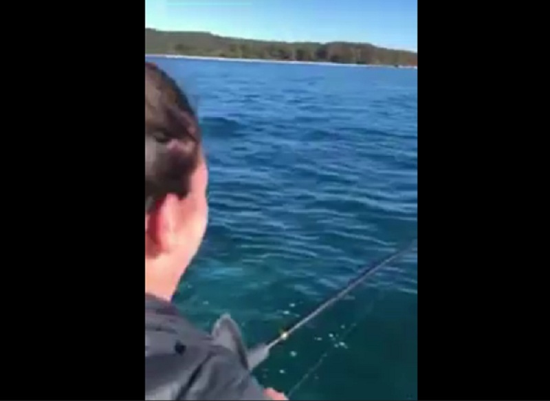 Χταπόδι εναντίον ψαράδων: Τους «τύφλωσε» το μελάνι (Video) - Media