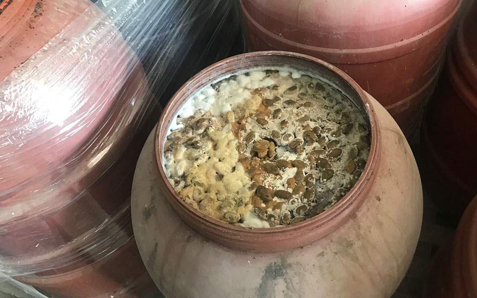 Νέο «λαβράκι» από το ΣΔΟΕ: Έφερε στο φως «βόμβα» υγειονομικού ενδιαφέροντος - Δέσμευσε 10 τόνους ακατάλληλων προϊόντων - Media