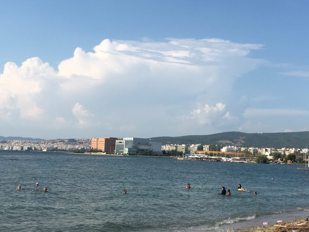 «Απλωτές» σε απόσταση «αναπνοής» από τον Λευκό Πύργο: Και όμως, κολυμπούν στον Θερμαϊκό! (Pic) - Media