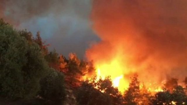 Σύλληψη 79χρονου για εμπρησμό από πρόθεση στο Ρέθυμνο - Media