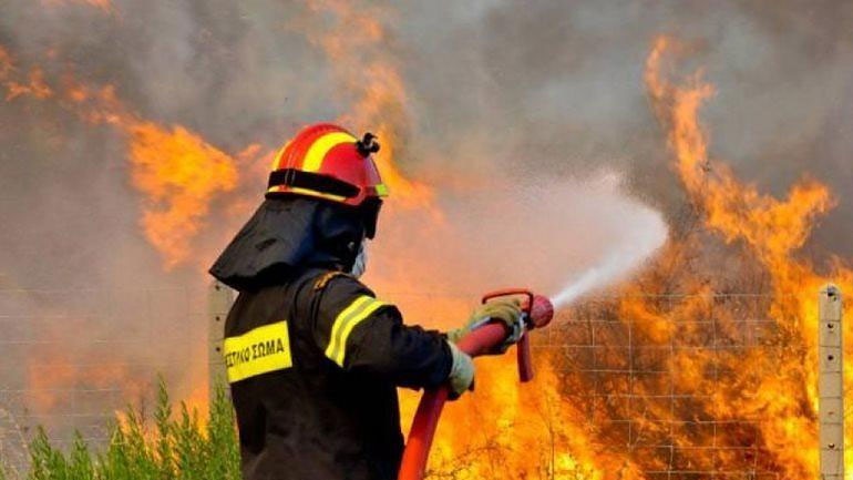 Πυρκαγιά σε δάσος στο Μεσολόγγι - Media