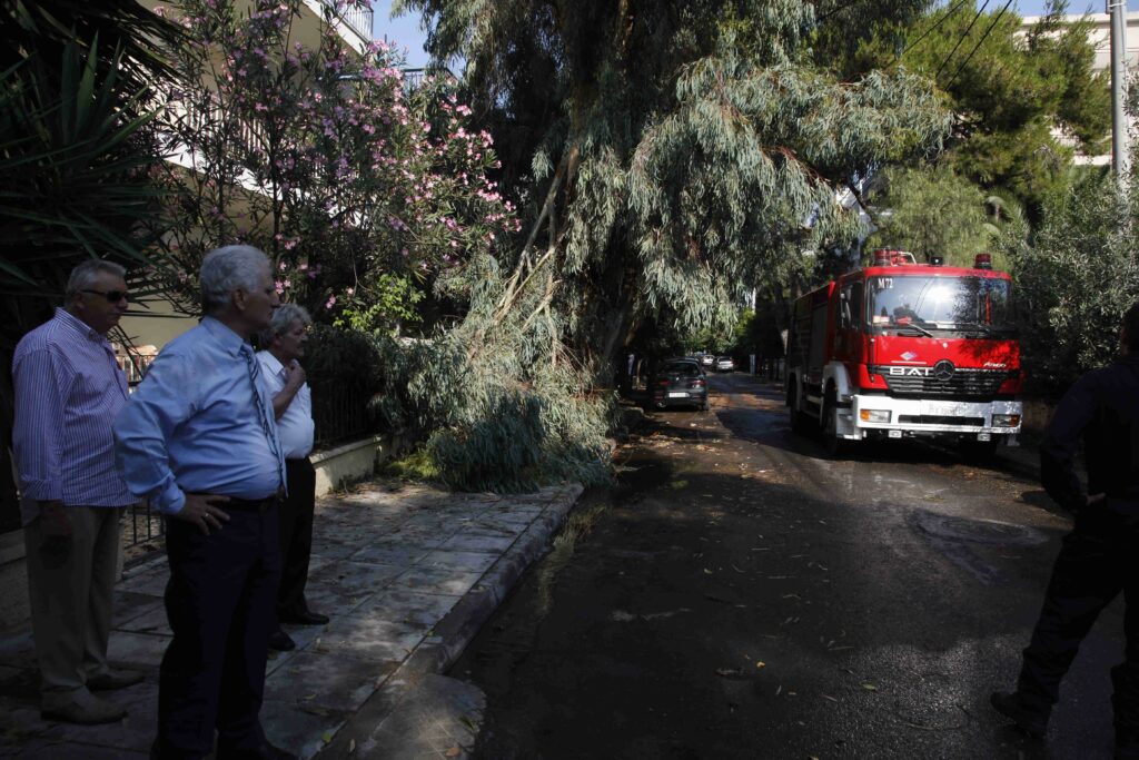 Ισχυροί άνεμοι στην Αττική - Περισσότερες από 30 κλήσεις στην Πυροσβεστική για κοπές δέντρων - Media