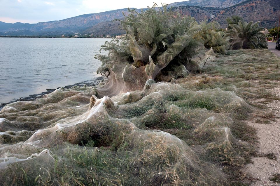 Σαν σήμερα το ναυάγιο του «Εξπρές Σαμίνα» ανοιχτά της Πάρου - Οι 81 νεκροί και ο ήρωας φαντάρος (Photos/Video) - Media