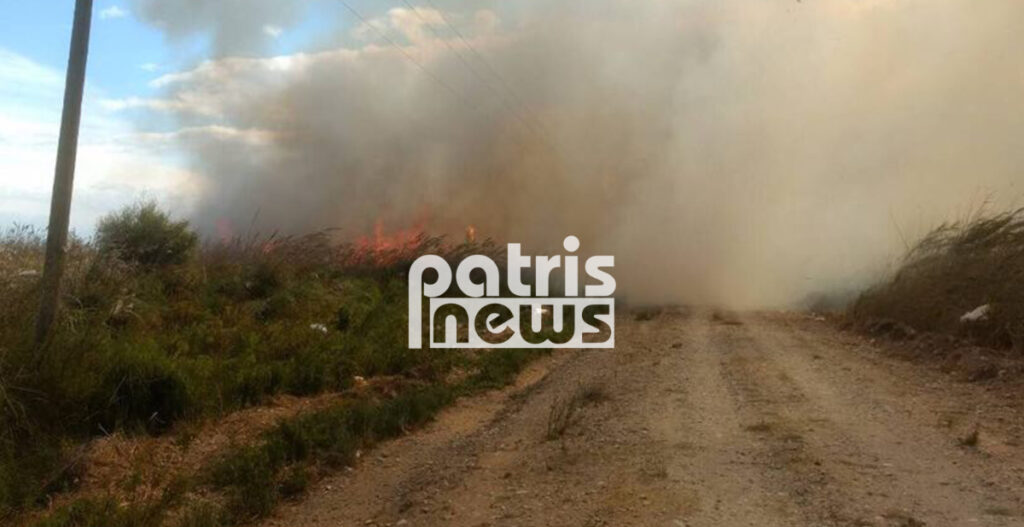 Σε ύφεση η πυρκαγιά στον Πύργο - Κάηκαν αυλές και παραπήγματα (Photos/Video) - Media