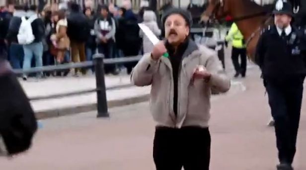 Συνελήφθη με τέιζερ μπροστά στο Μπάκιγχαμ - «Μεμονωμένο περιστατικό» - Media