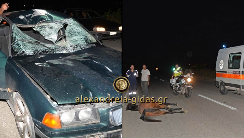 Σοβαρό τροχαίο στο Αιγίνιο: Αυτοκίνητο συγκρούστηκε με άλογο (σκληρές εικόνες) - Media