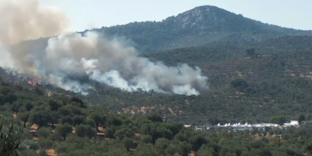 Ξέσπασε φωτιά σε αγροτική περιοχή της Μόριας - Media