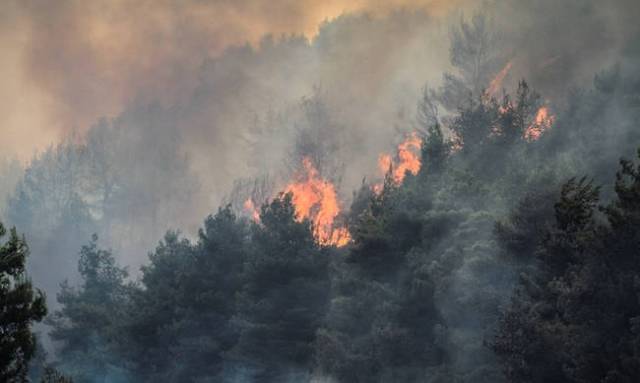 Μεγάλη πυρκαγιά στη Ζάκυνθο - Media