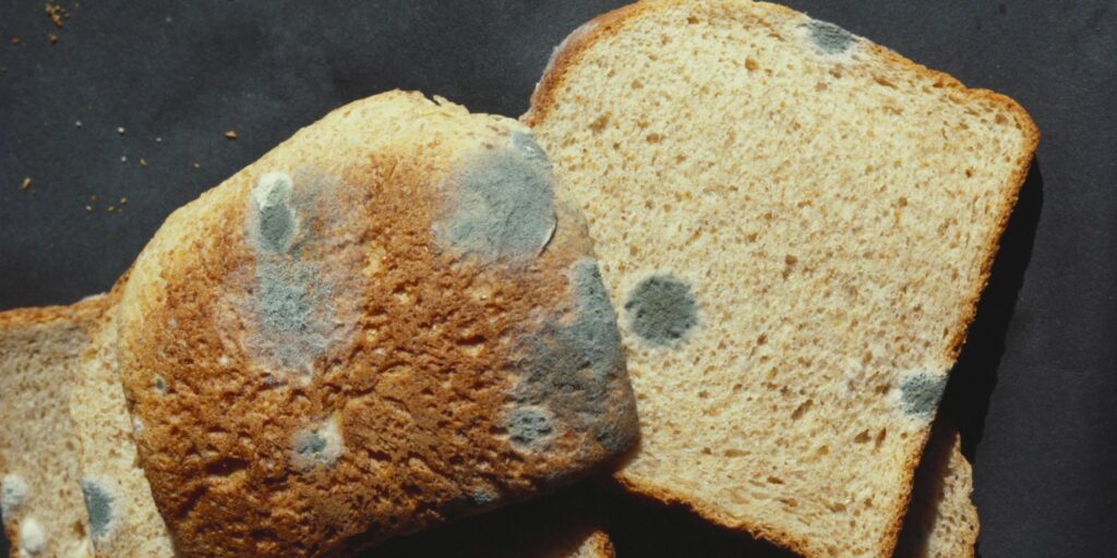 Το ψωμί άρχισε να μουχλιάζει - Μπορώ να το φάω; - Media
