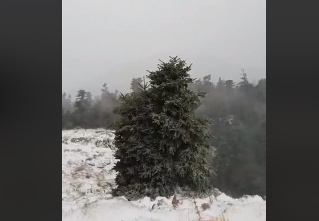 Απίστευτο: Χιονοθύελλα στον Παρνασσό μες στον Σεπτέμβρη! (Video) - Media