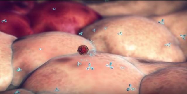 Προσοχή στην εποχική γρίπη: Δείτε σε βίντεο πώς μεταδίδεται ο ιός! (Video) - Media