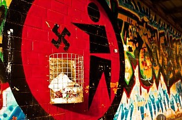 Προκλητική -και παντελώς ανόητη- εμφάνιση των νεοναζί της Χρυσής Αυγής στην Αθήνα - Media