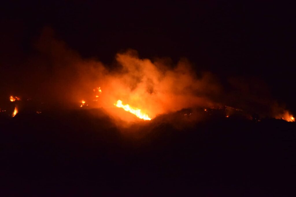 Μεγάλη πυρκαγιά με δύο μέτωπα στην Ηλεία - Ισχυροί άνεμοι στην περιοχή - Media