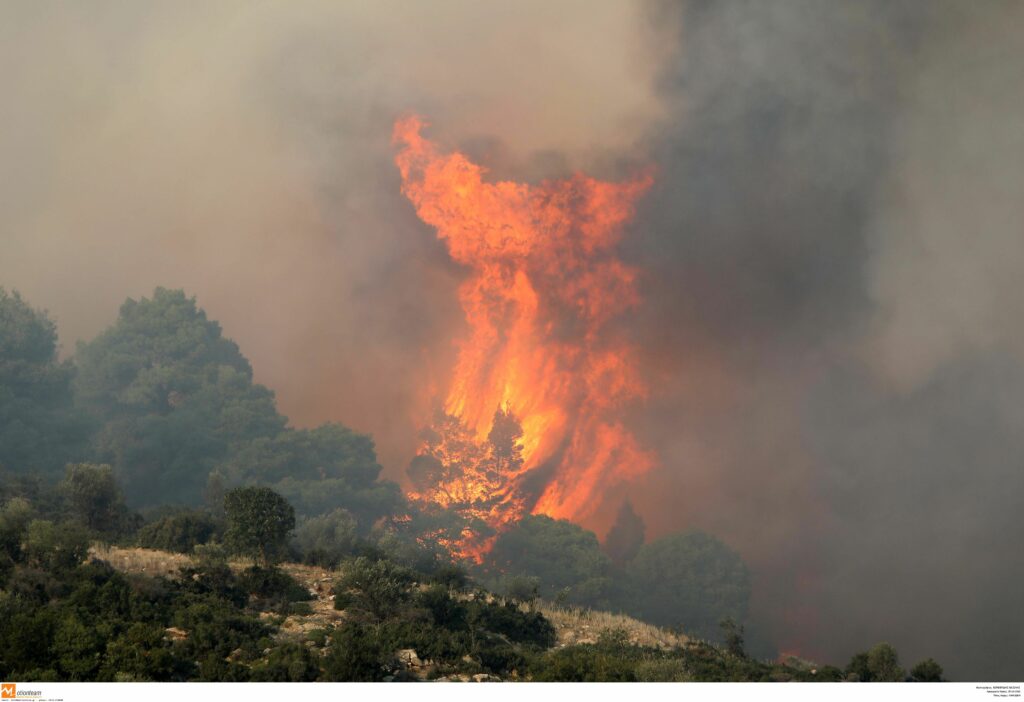 Κερδίζεται η μάχη με τη φωτιά στη Χαλκιδική - Πως ξεκίνησε η πυρκαγιά  - Media
