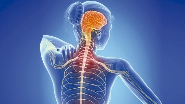 Ελπίδα για τους πάσχοντες από πολλαπλή σκλήρυνση: Νέες θεραπείες - Πιο εξειδικευμένα φάρμακα  - Media