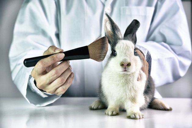 Η Καλιφόρνια απαγορεύει τα καλλυντικά που έχουν δοκιμαστεί σε ζώα - Media