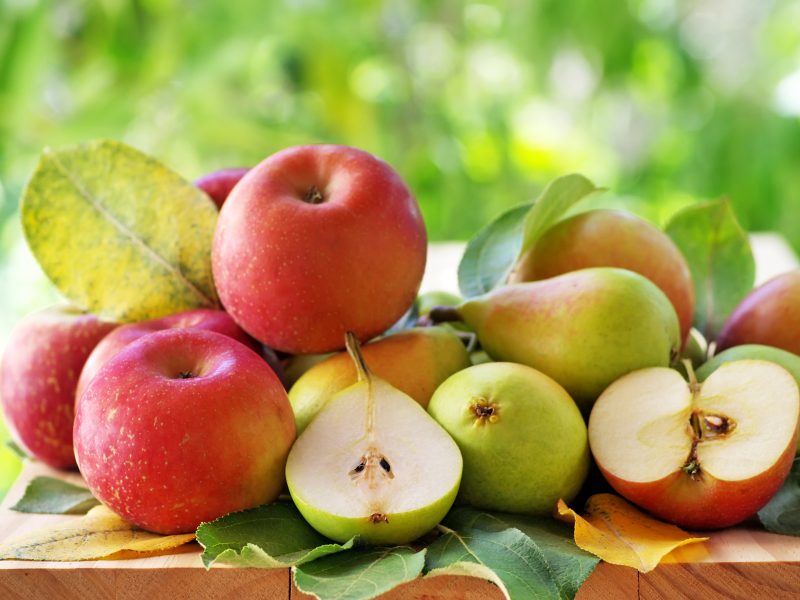 Αυτές είναι οι κορυφαίες υπερτροφές του φθινοπώρου - Media