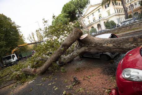 Ιταλία: Τέσσερις νεκροί από το κύμα κακοκαιρίας - Media
