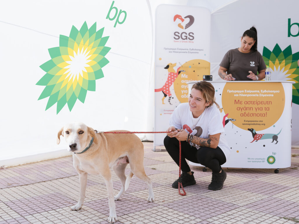 «Με αστείρευτη αγάπη για τα αδέσποτα» - Νέο πρόγραμμα δράσεων της SGS με την υποστήριξη των πρατηρίων BP - Media