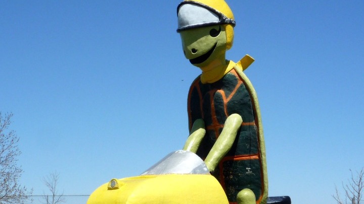 Αυτή είναι η πιο ψηλή «χελώνα» στον κόσμο: Έχει ύψος πάνω από εννιά μέτρα! - Media