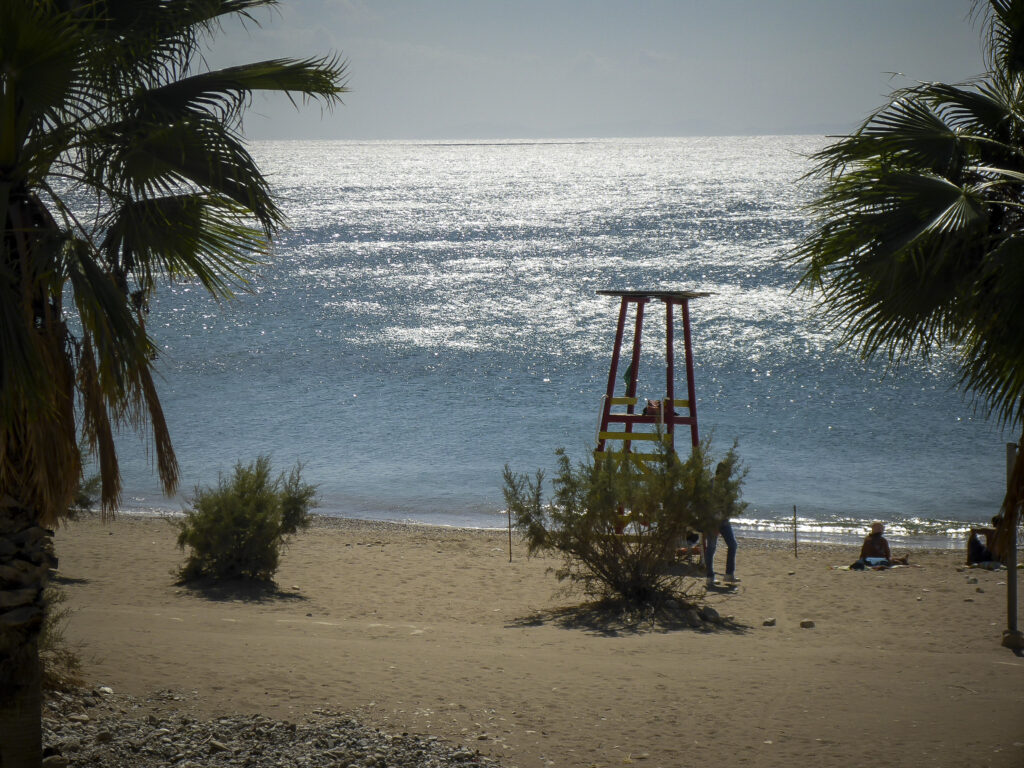 «Σκάει» ο τζίτζικας στην Κρήτη Νοέμβρη μήνα (Video) - Media