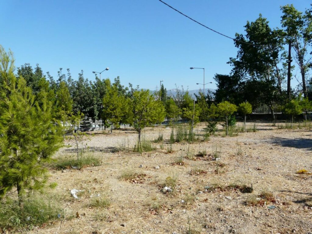 «Βόμβα» από το Κτηματολόγιο: Στο Δημόσιο 170.000 ακίνητα «αγνώστου ιδιοκτήτη» - Media