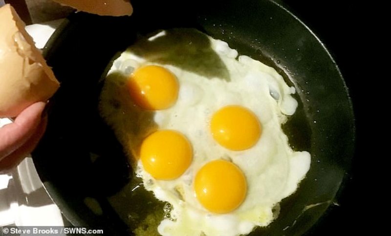Βρήκαν αυγό με 4 κρόκους – Μια στα 11 δισεκατομμύρια οι πιθανότητες να συμβεί (Photos) - Media