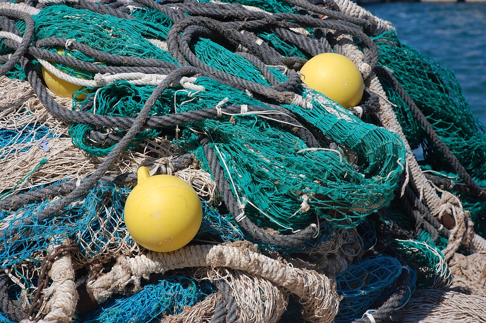 Έβγαλαν από τη θάλασσα της Χαλκιδικής εγκαταλελειμμένα δίχτυα βάρους ενός τόνου! - Media