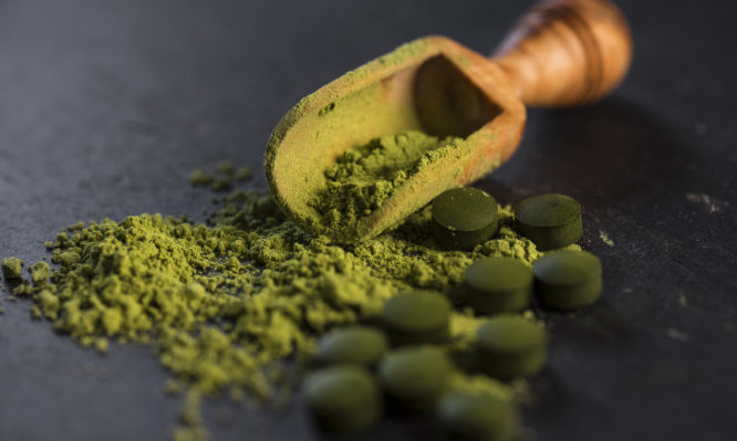 Σπιρουλίνα: Γιατί θεωρείται «υπερτροφή» – Τι προσφέρει στην υγεία - Media