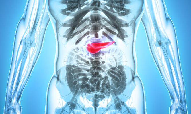 Καρκίνος στο πάγκρεας: Προσοχή στα πρώτα «αθώα» συμπτώματα - Media